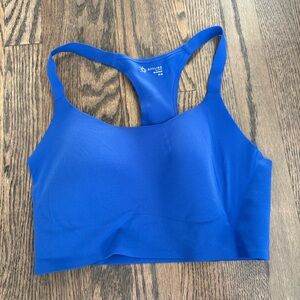 Aerie Blue Sports Bra